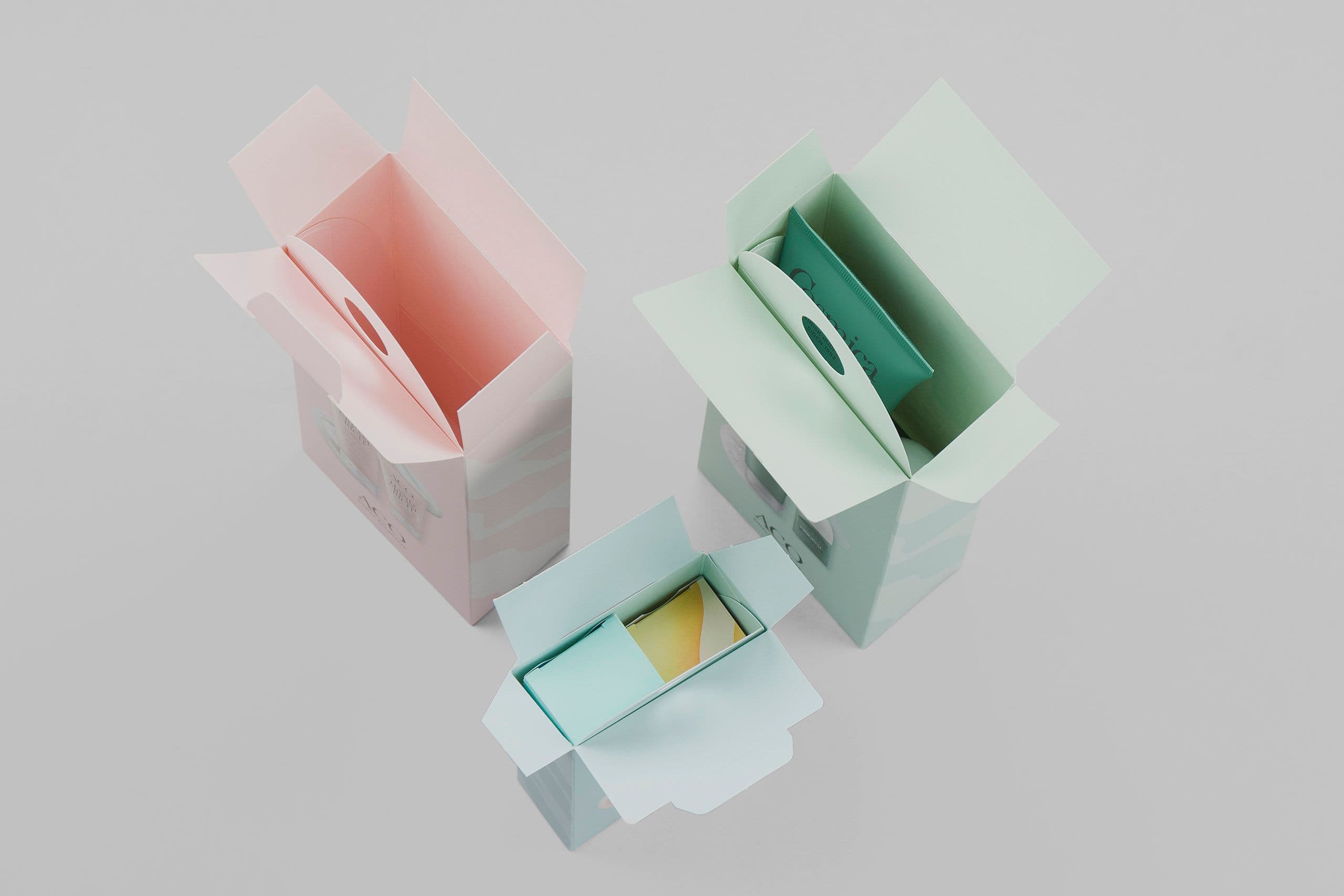 Printed folding boxes with inserts