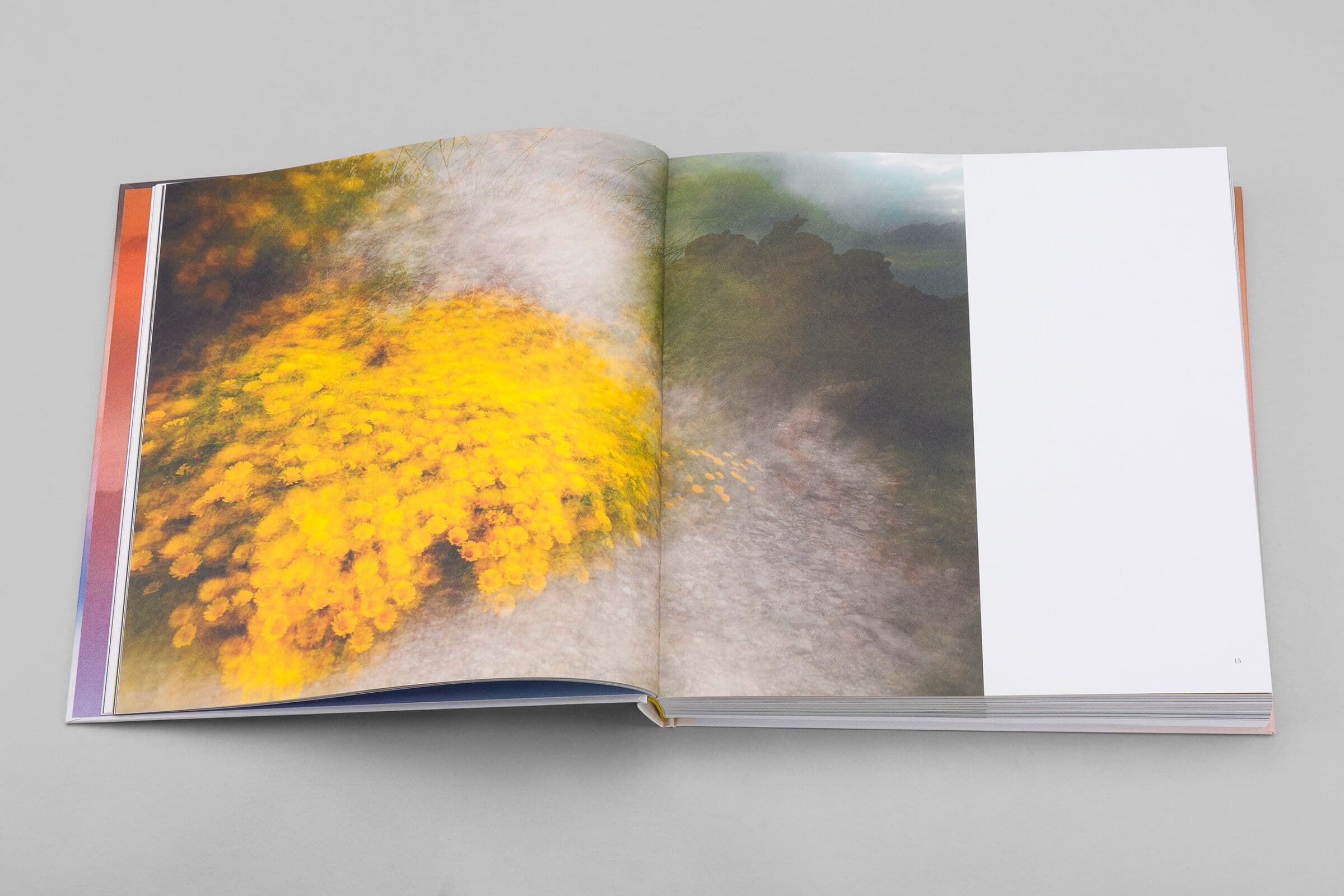 Hard cover book with printed cloth, foil stamping on front and spine